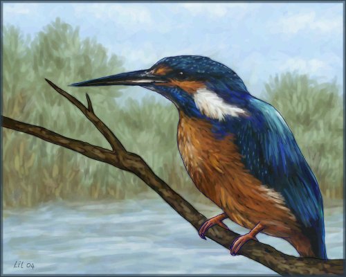 Kingfisher